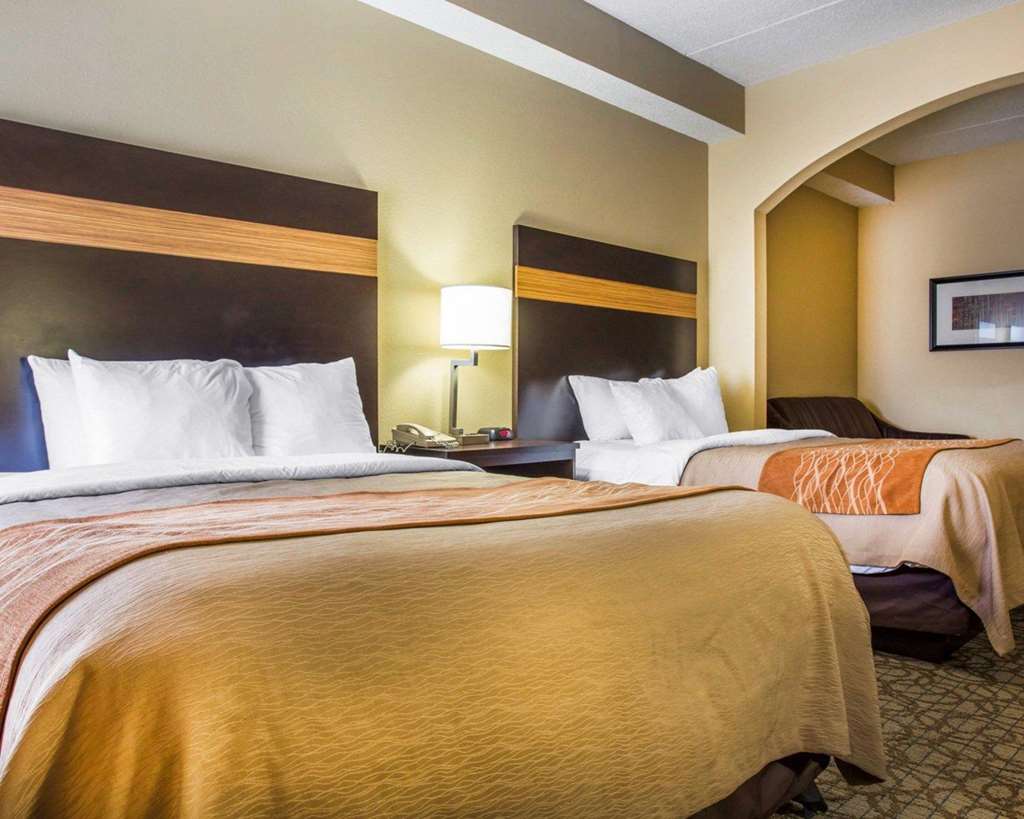 Comfort Inn & Suites at Stone Mountain - photo 22