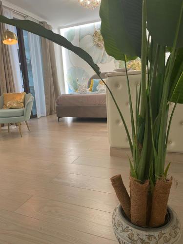 Spring House — 4-Star Luxury Hotel in Pompei, Italy