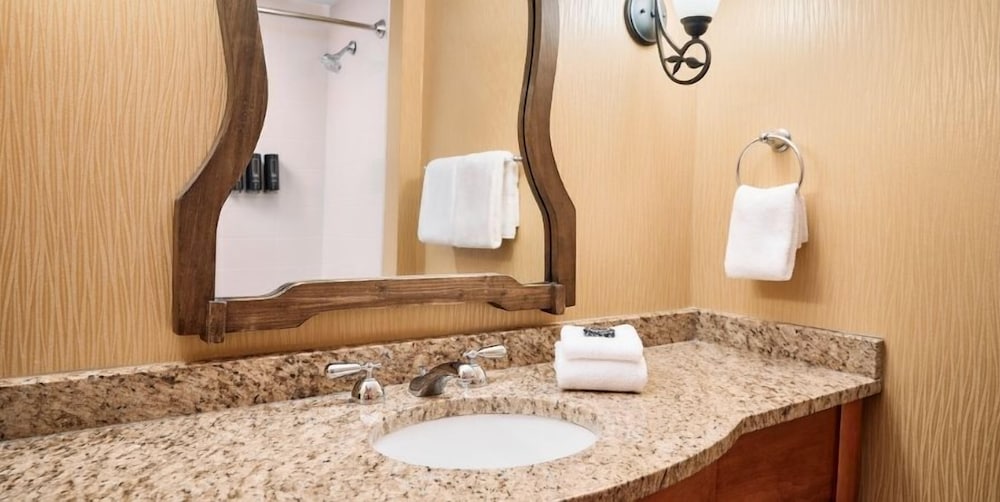 Oglebay Resort - photo 28