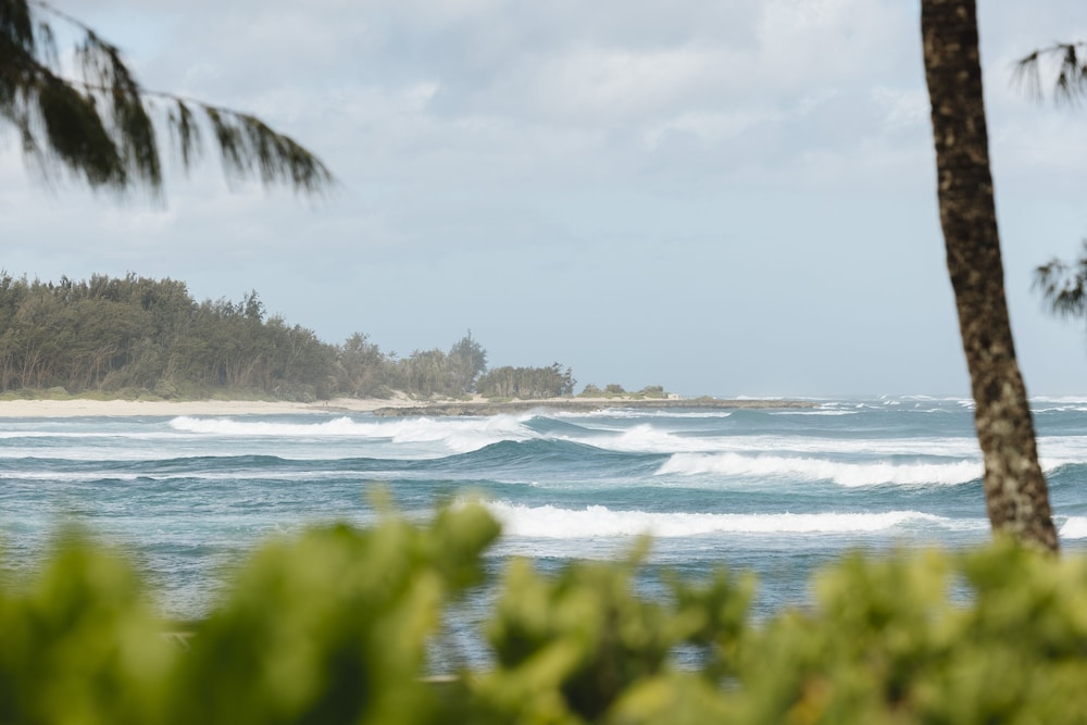 The Ritz Carlton O ahu Turtle Bay - photo 183