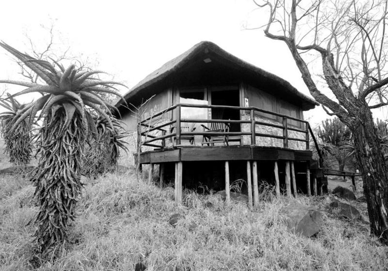 Shayamoya Tiger Fishing and Game Lodge — 4-Star Luxury Hotel in Pongola, South Africa