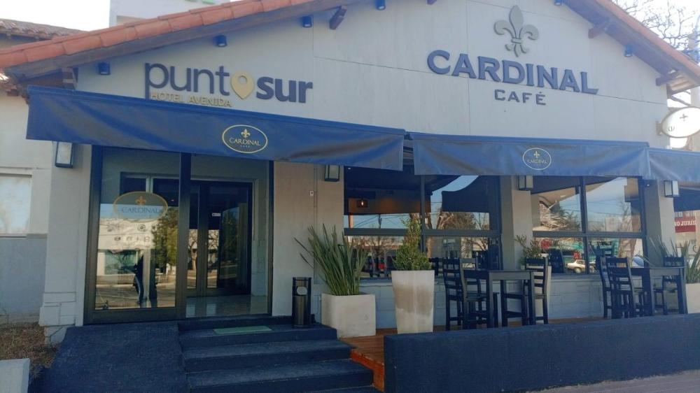 Hotel Punto Sur Avenida — hotel in Malarguee