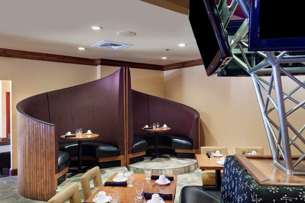Holiday Inn San Antonio Seaworld by IHG - photo 29