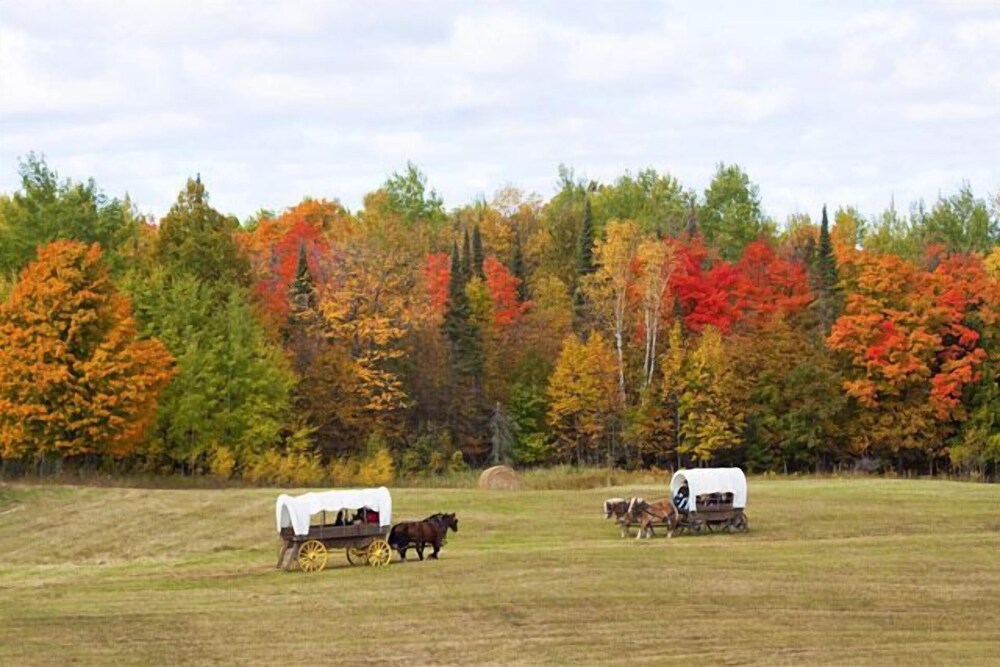 Dunrovin Resort - photo 148