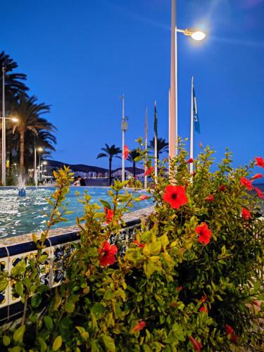 Cullera Confort Playa in Cullera, Spain