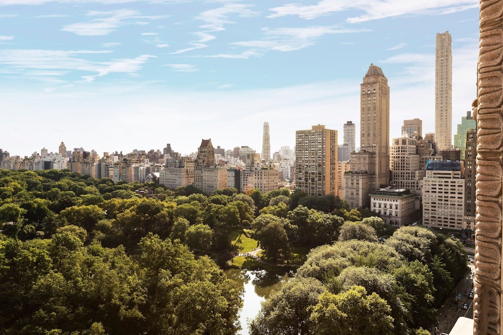 The Ritz Carlton New York Central Park - photo 118