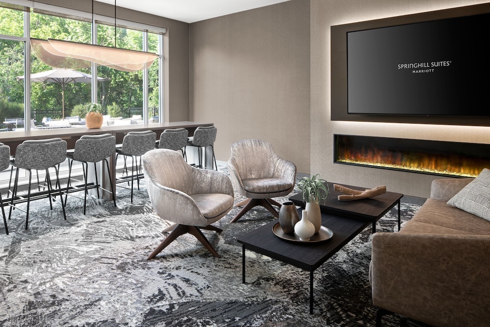 SpringHill Suites by Marriott Kalamazoo Portage - photo 47