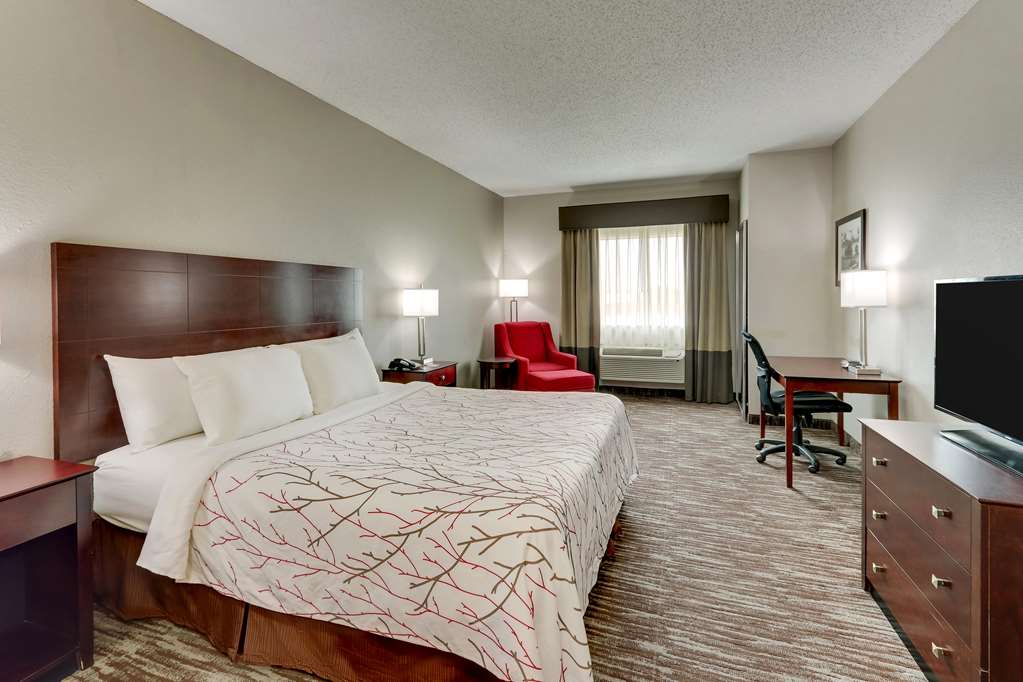 Best Western Plus University Inn & Suites - photo 2