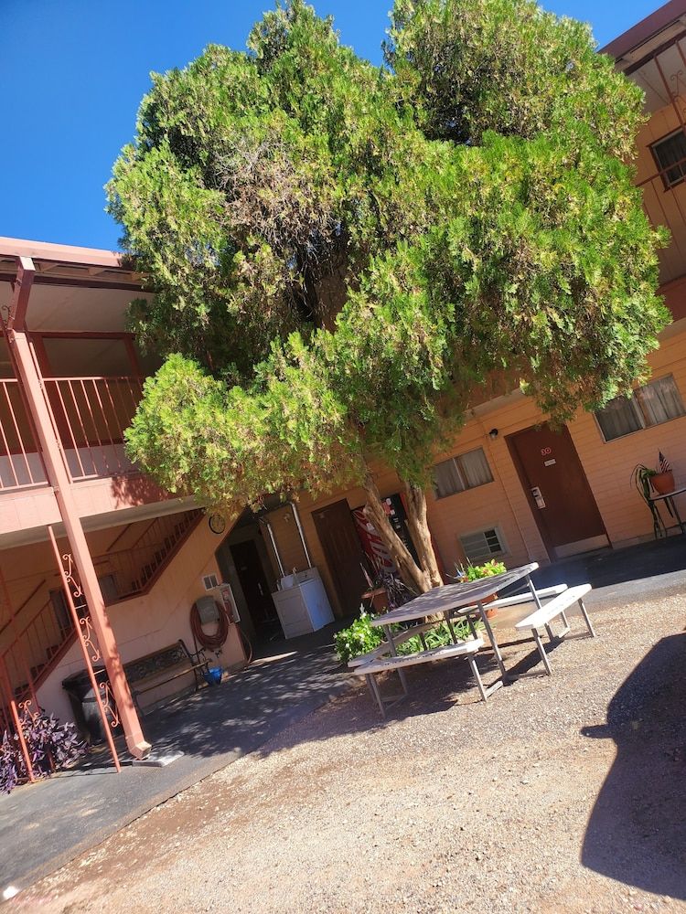 Rode Inn of Clifton - photo 9