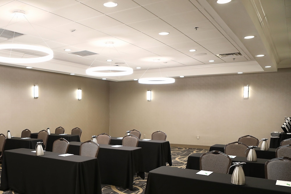 Holiday Inn Chicago O'Hare Area by IHG - photo 74