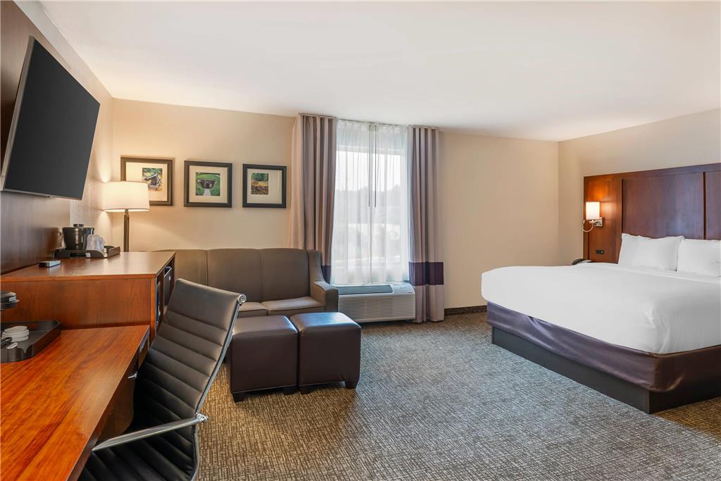 Comfort Inn Petersburg Fort Lee Area - photo 16
