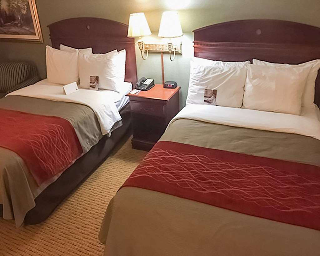 Comfort Inn Springfield - photo 4