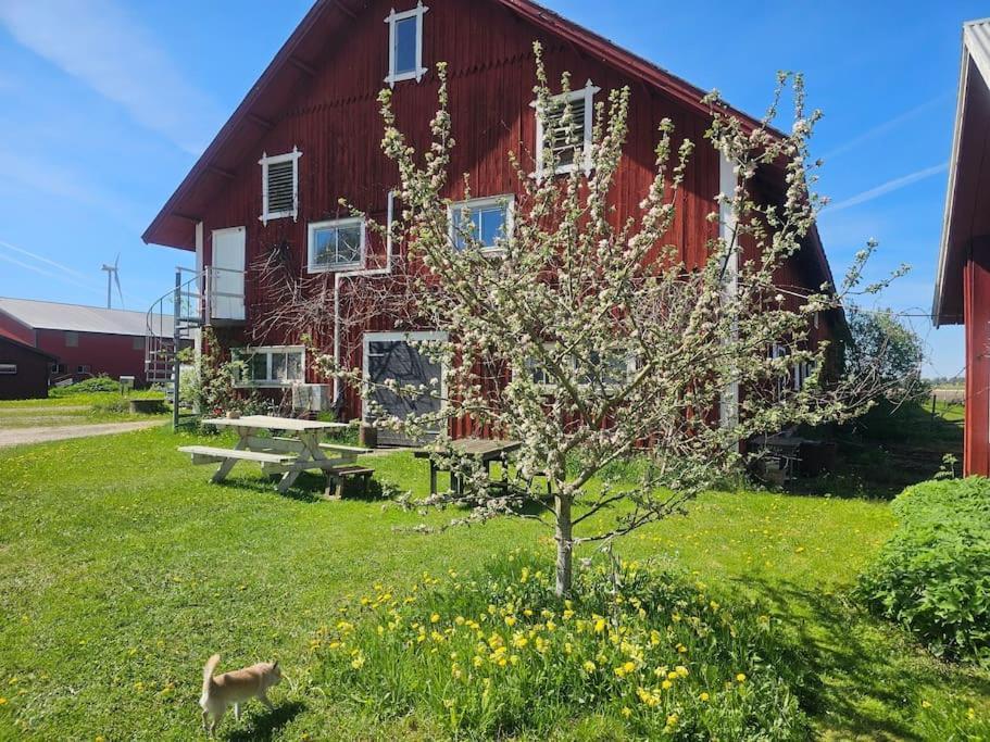 Ladan in Motala, Sweden