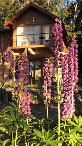 CasaSur 37Robles — 4-Star Luxury Hotel in Villa La Angostura, Argentina