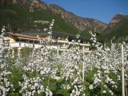 Hotel Greifenstein — hotel in Terlano