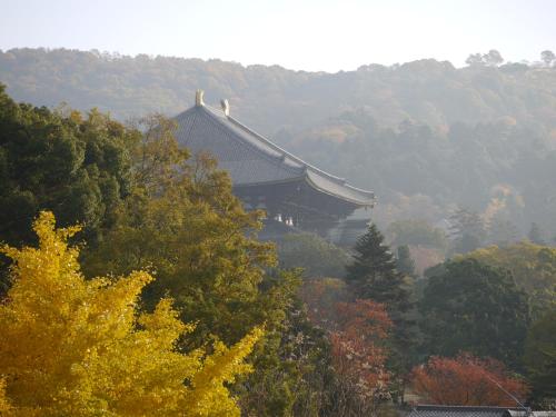 Wakasa Annex — 4-Star Luxury Hotel in Nara-Shi, Japan