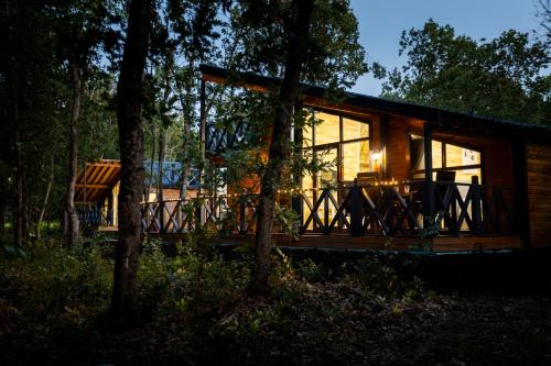 Lion’s Forest in Unknown City, Bulgaria