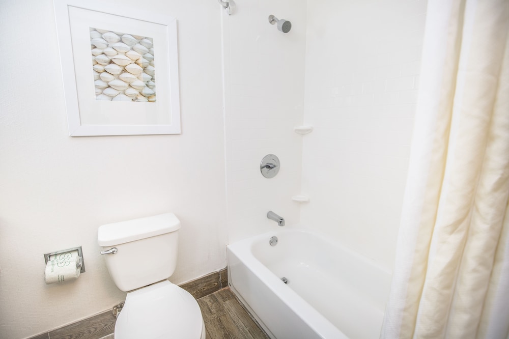 Hilton Garden Inn Orange Beach Beachfront - photo 60