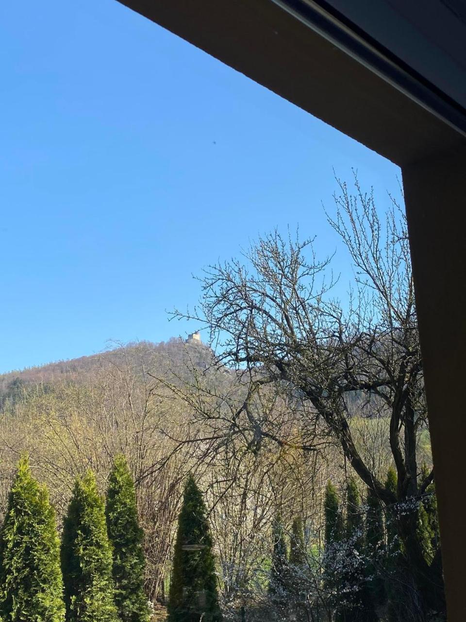 Pokoje Gościnne Kurza Zagroda — Jelenia Gora — photo 5