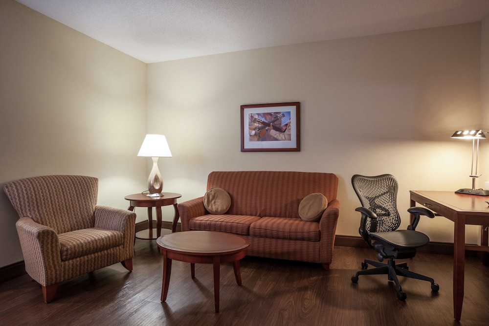 Hilton Garden Inn El Paso University - photo 4