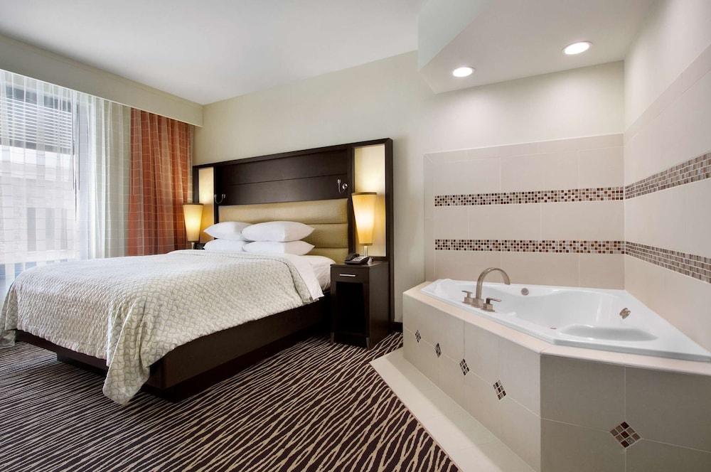 Embassy Suites by Hilton Fayetteville Fort Bragg - photo 9