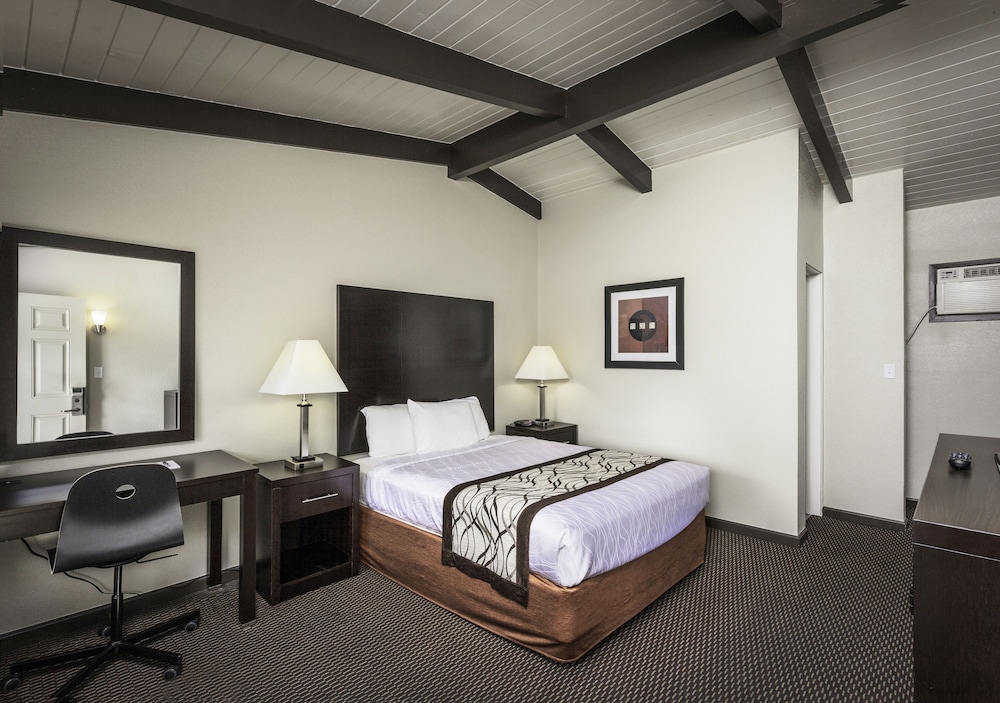 Thunderbird Lodge - photo 14