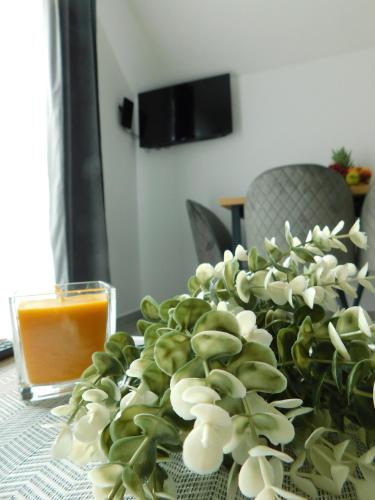 Apartman Nativis — 4-Star Luxury Hotel in Otocac, Croatia