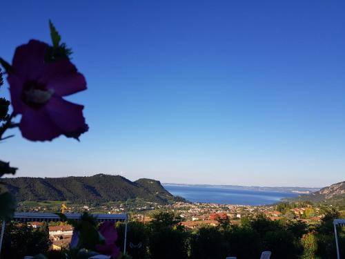 Villa Montegolo — Costermano — photo 5