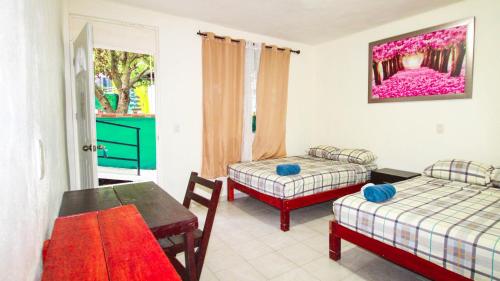 Vias Maya Bacalar Hotel