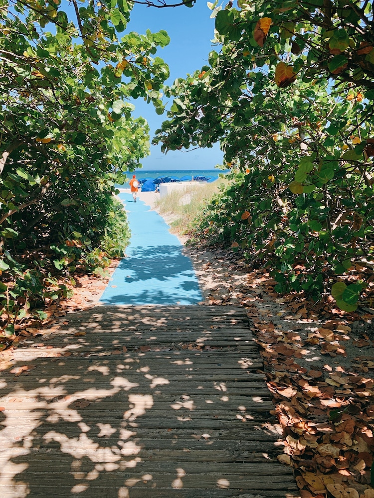 Opal Grand Oceanfront Resort & Spa - photo 100