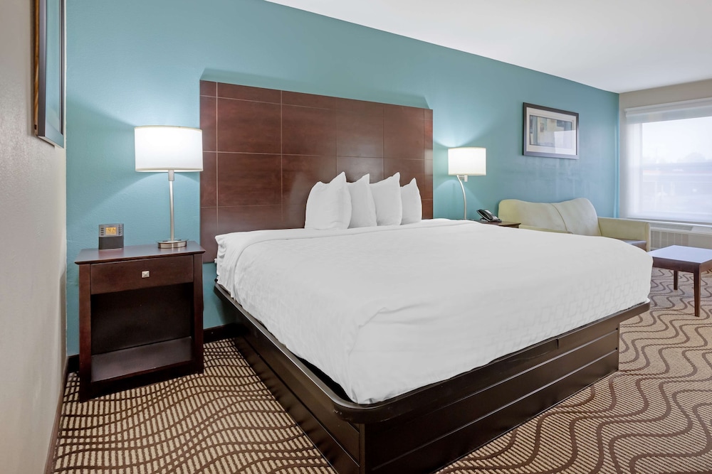 Best Western Plus Lonoke Hotel - photo 10
