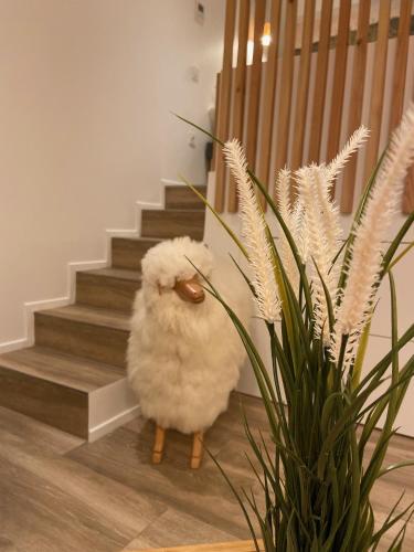 Le Mouton à 5 Pattes Aubagne Cassis Aix en Provence in Aubagne, France