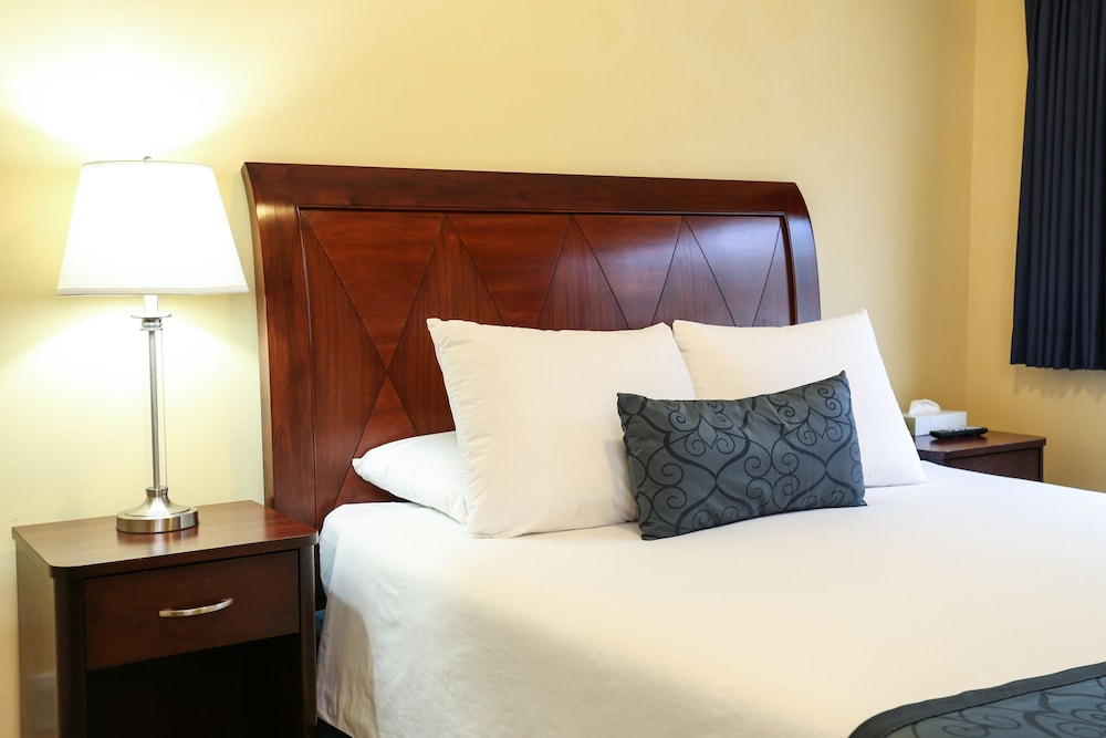 The Hotel Hollywood - photo 6