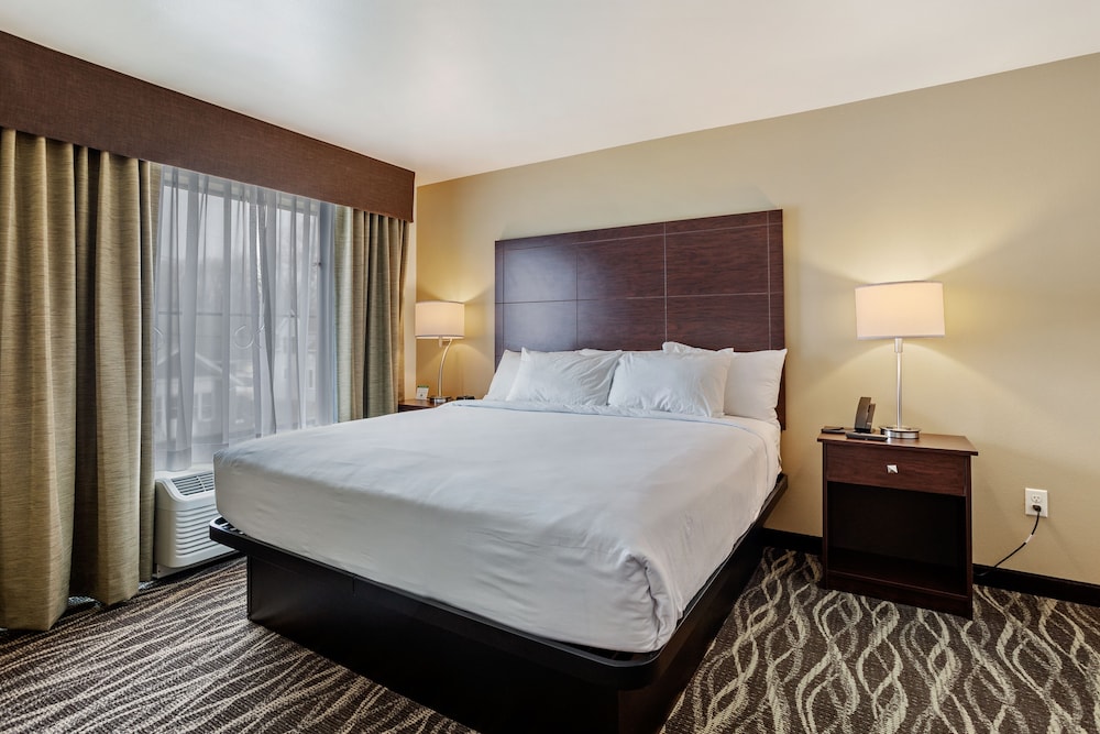 Cobblestone Hotel & Suites Little Chute - photo 11