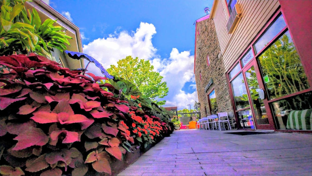 Chestnut Hill Hotel - photo 36