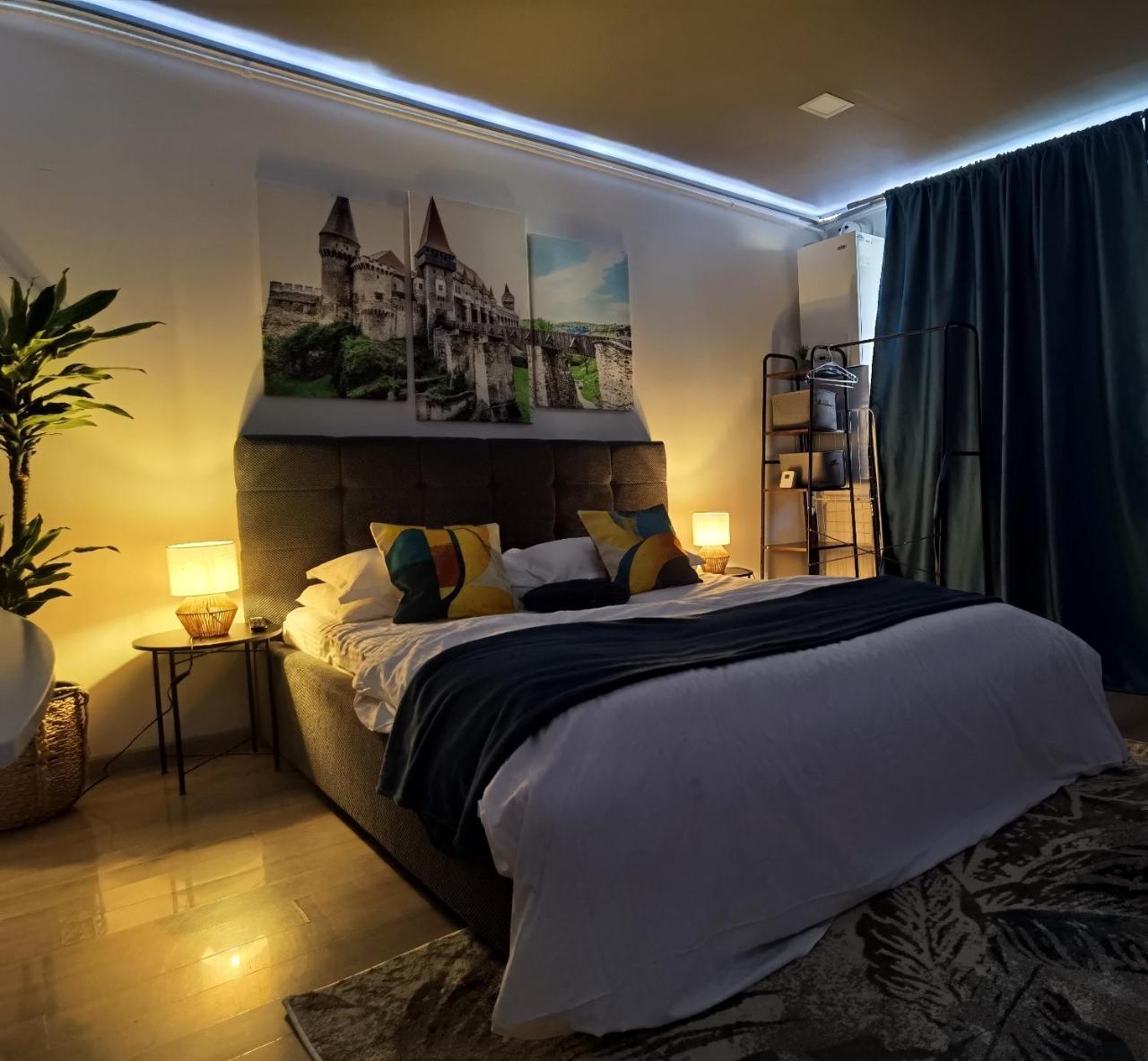 Blue Shades Studio — hotel in Hunedoara