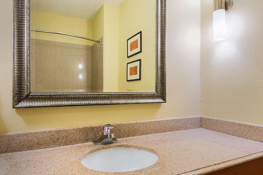 Comfort Suites Lake Charles - photo 12