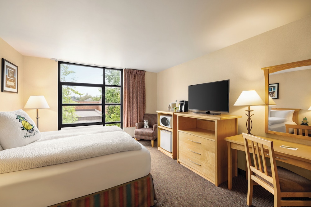 Staypineapple University Inn University District Seattle - photo 20