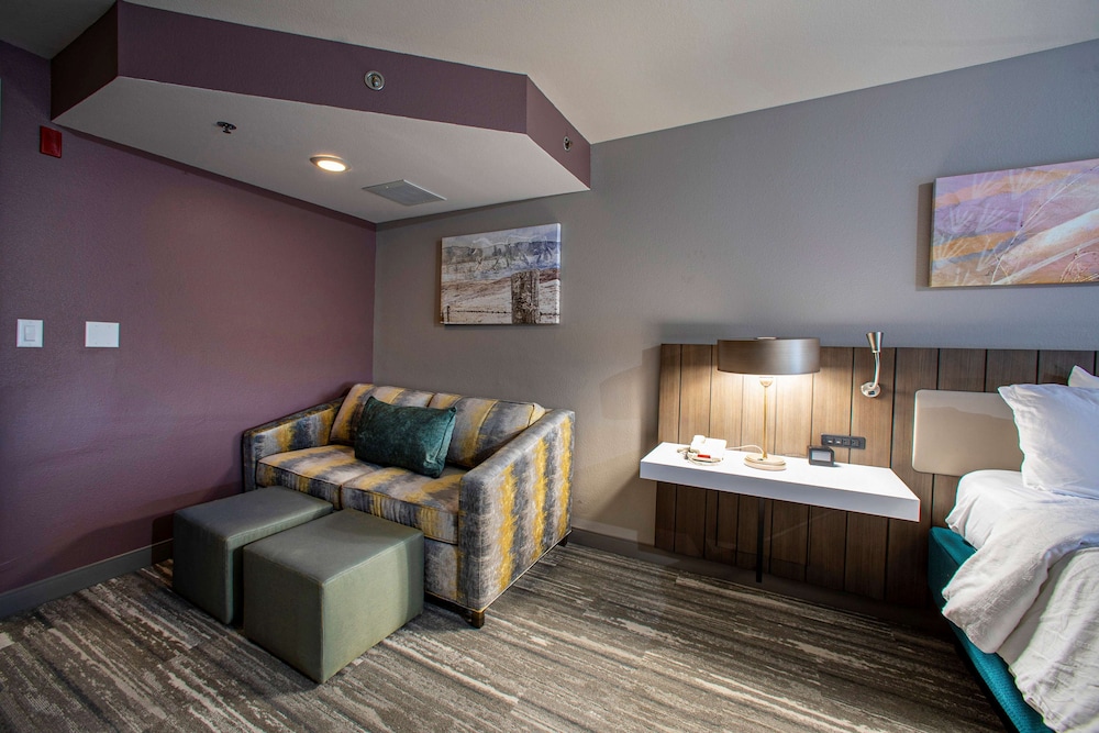 Hilton Garden Inn Rapid City - photo 35