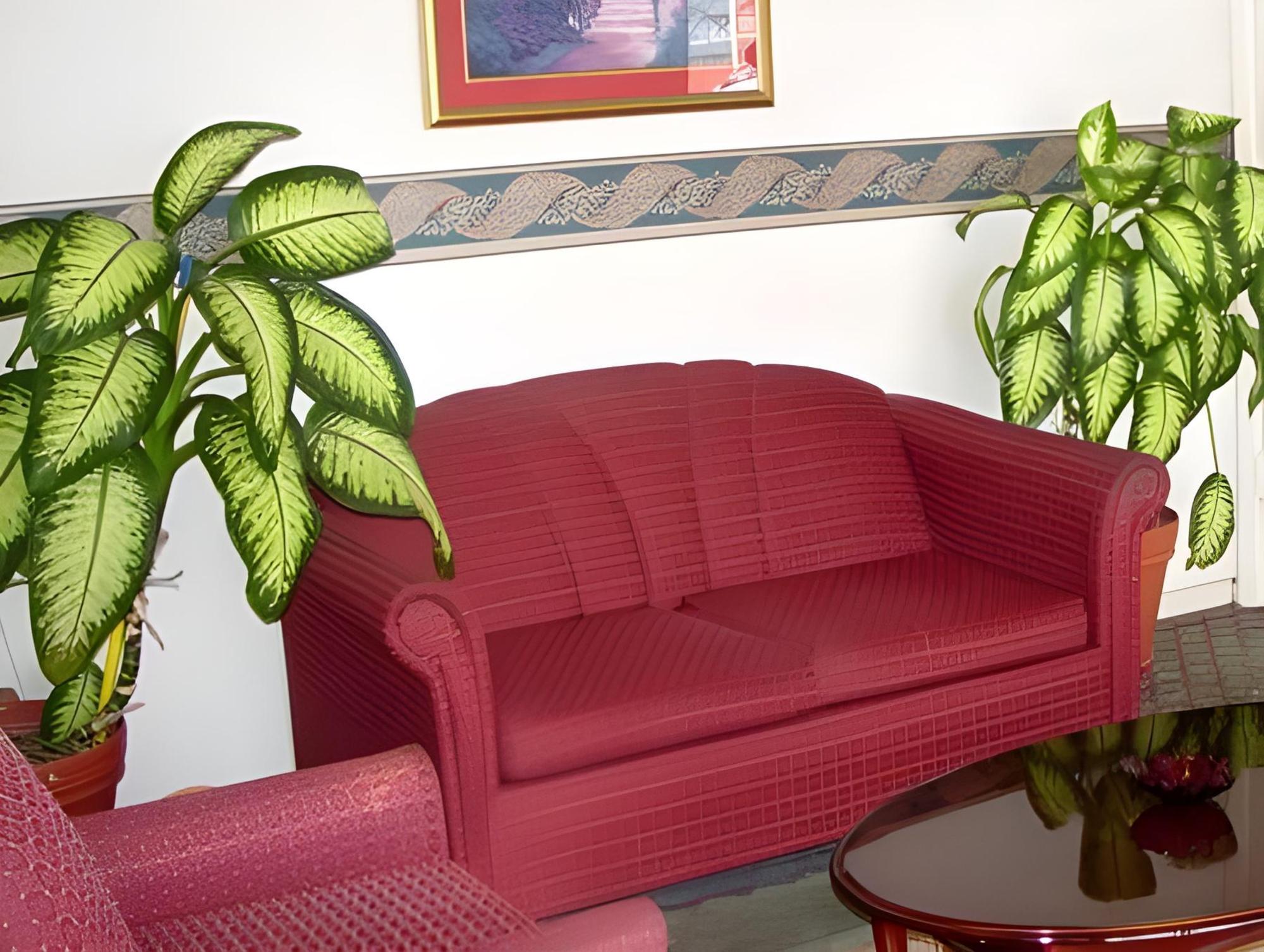 Executive Inn & Suites Houston - photo 9