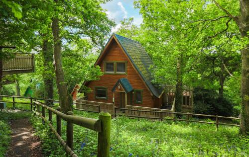 Fern Gully Lodge With Hot Tub Spa Resort Devon — Chudleigh