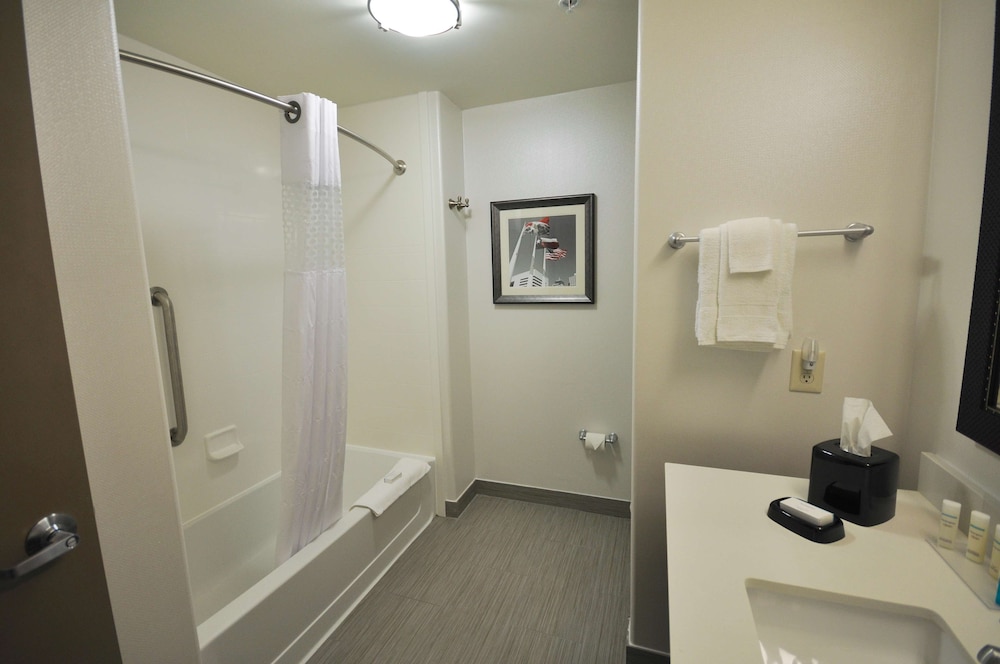 Hampton Inn & Suites Hutto Austin - photo 30