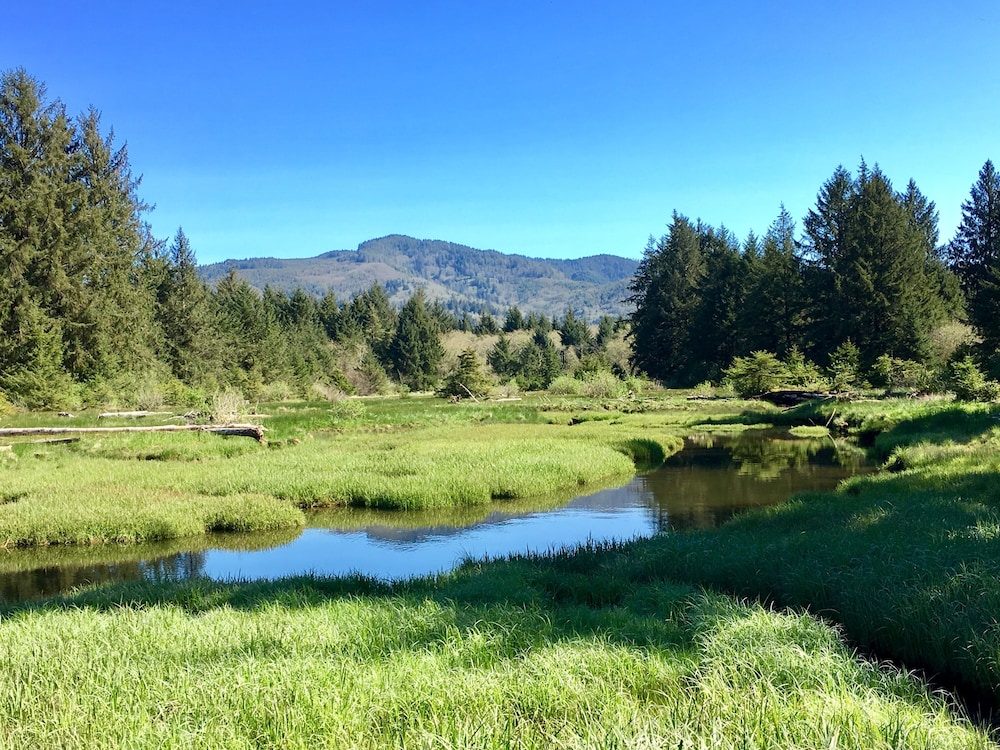 Tillamook Bay City RV Park - photo 24