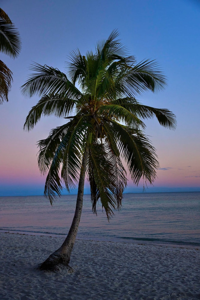 Margaritaville Beach House Key West - photo 59