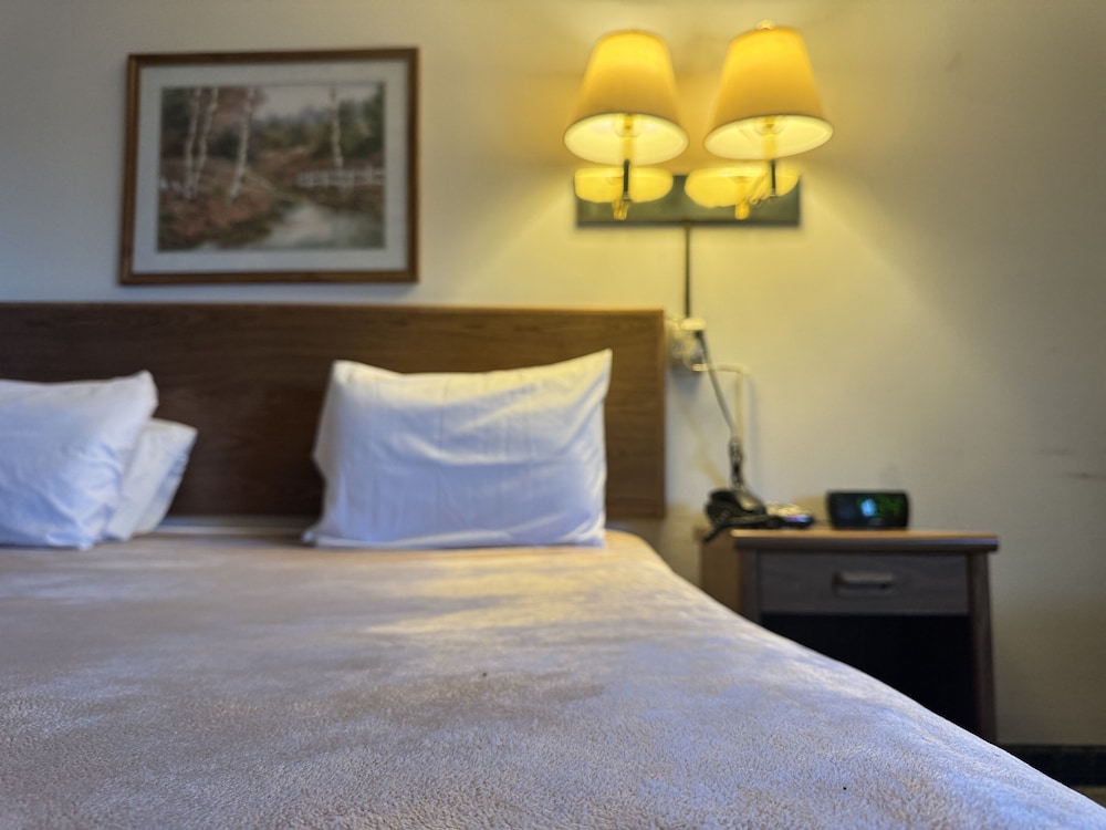 Dakota Inn Minot - photo 4