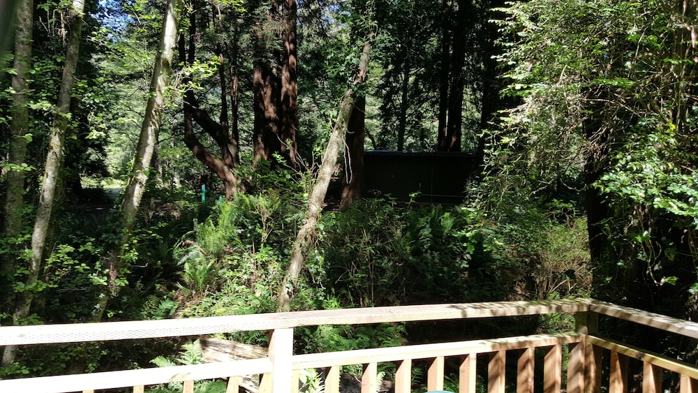 Emerald Forest Cabins - photo 82