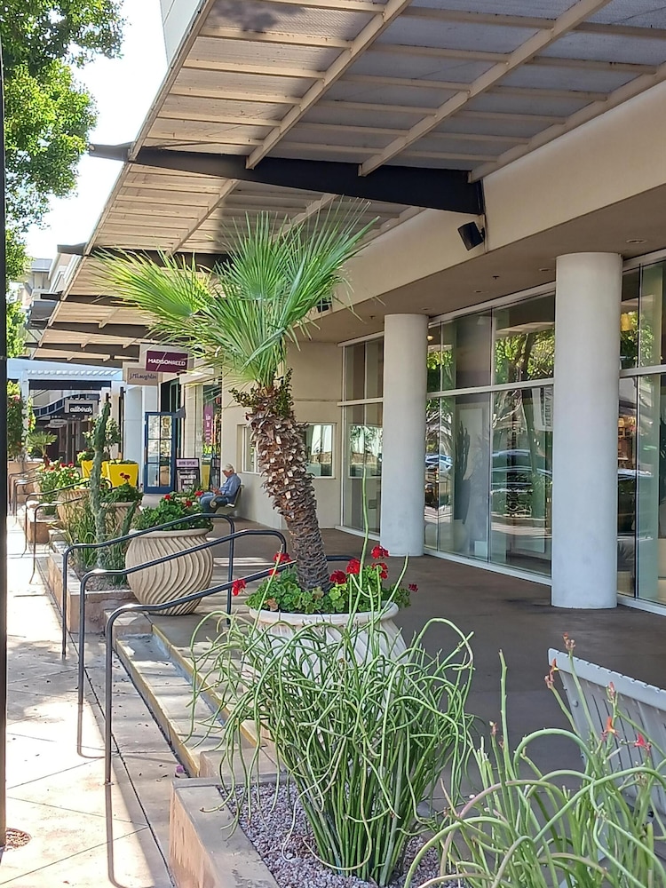 The Nines Scottsdale - photo 99