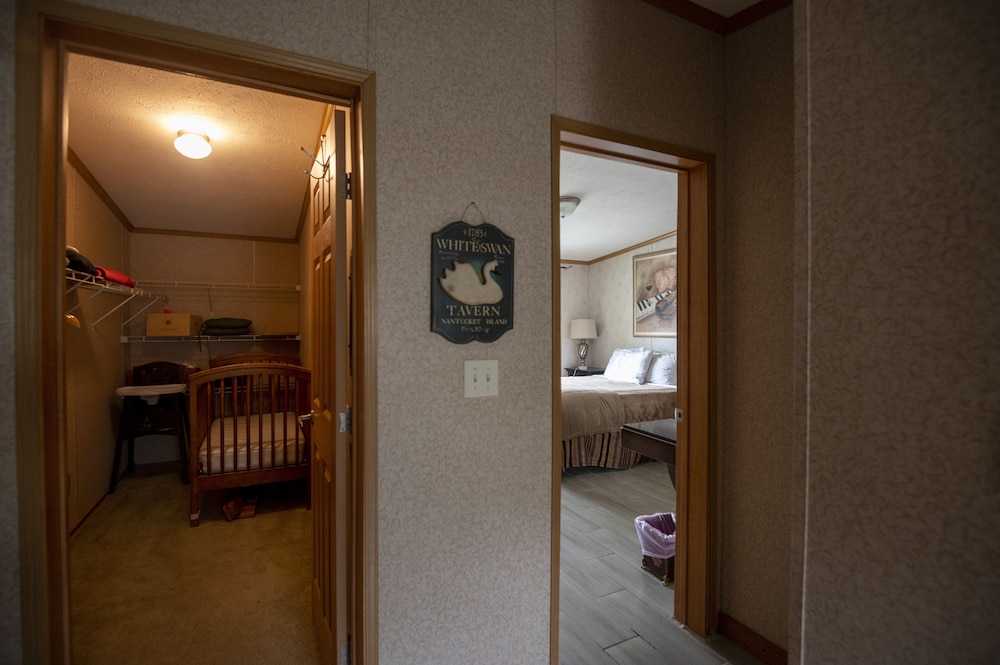 Swan Lake Resort Rentals - photo 35