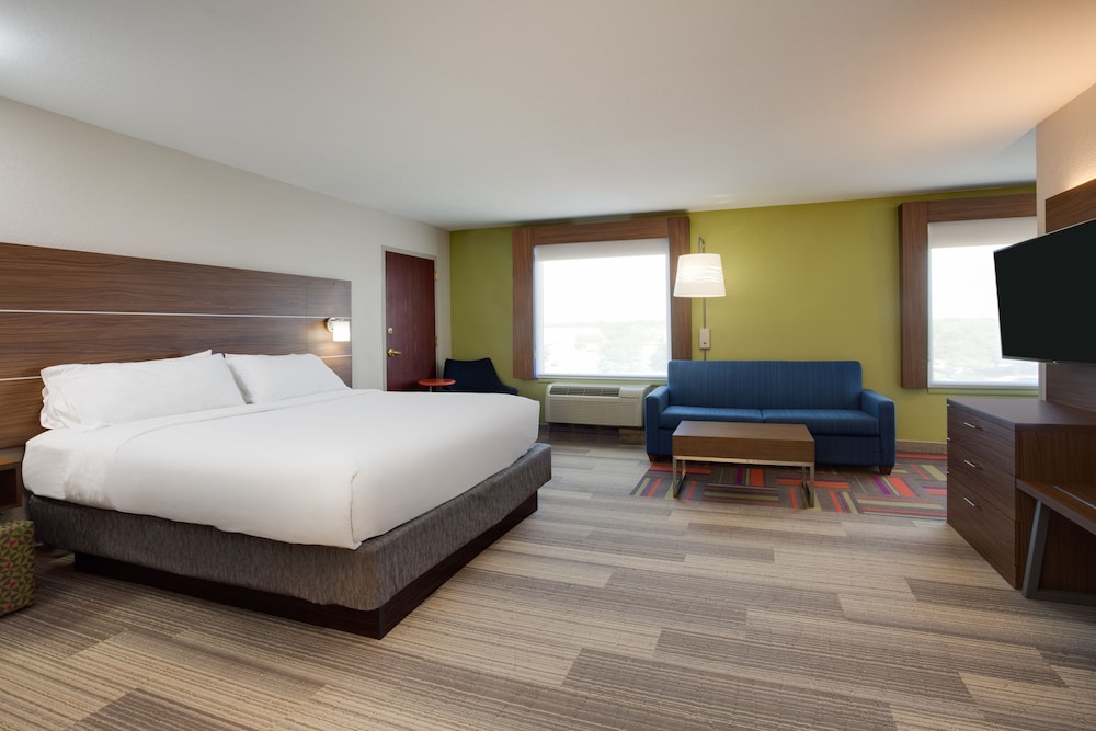 Holiday Inn Express Hotel & Suites Tampa Fairgrounds Casino by IHG - photo 22