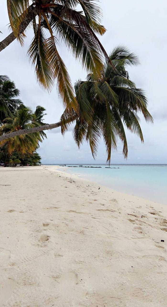 Coral Shine in Unknown City, Maldives